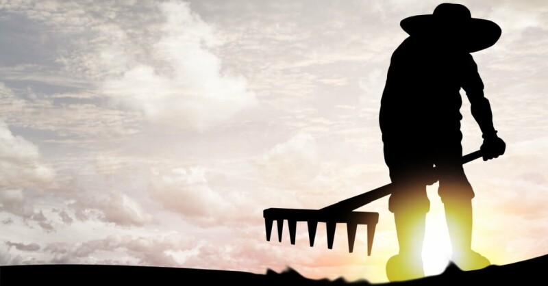 Cyberattack sees crops kept in the ground