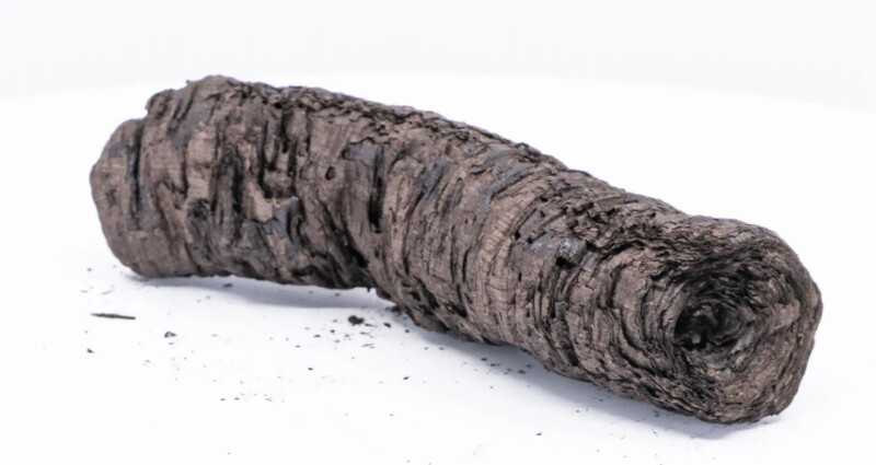 They read the scroll thing! AI helps decipher ancient document charred by Vesuvius
