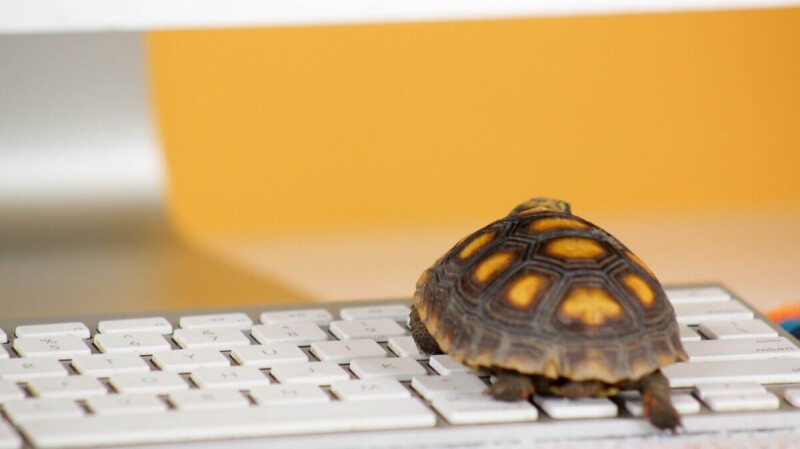 Sponsor gives KDE Plasma 6.6 the LTS treatment
