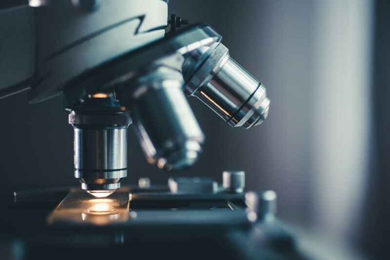 Argonne scientists create chatty X-ray microscope that zooms in where you tell it to